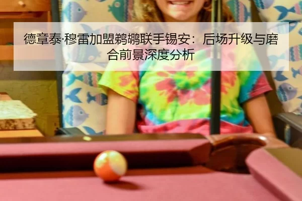 德章泰·穆雷加盟鹈鹕联手锡安：后场升级与磨合前景深度分析